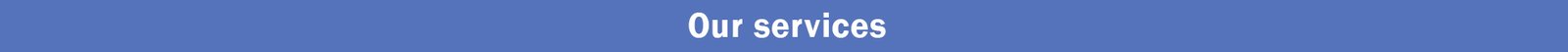 Our services 5